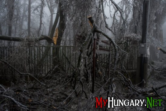 Ледяной дождь в Венгрии оставил людей без электричества