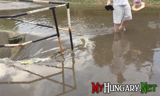 Ураган в Венгрии оставил жителей без электричества