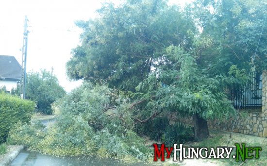 Ураган в Венгрии оставил жителей без электричества