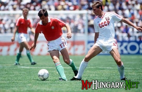 Славные вехи сборной Венгрии по футболу