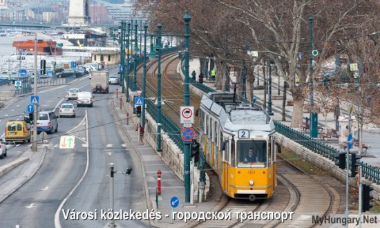 Венгерский язык - Городской транспорт (Városi közlekedés)