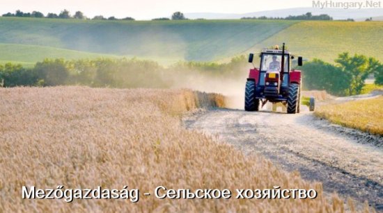 Венгерский язык - Сельское хозяйство (Mezőgazdaság)