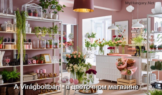 Венгерский язык - В цветочном магазине (A Virágboltban)