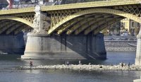Уровень воды в Дунае понизился до рекордной отметки