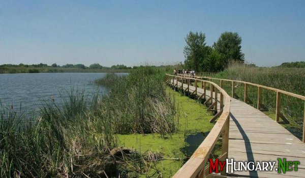 Озеро Тиса - крупнейший искусственный водоем Венгрии