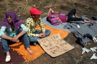 На сербско-венгерской границе мигранты объявили голодовку