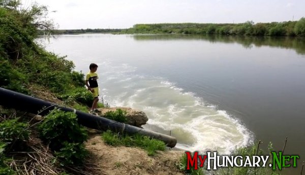 Экологическое спасение притока Дуная реки Тиса дело интернациональное