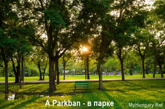 Венгерский язык - В парке (A Parkban)
