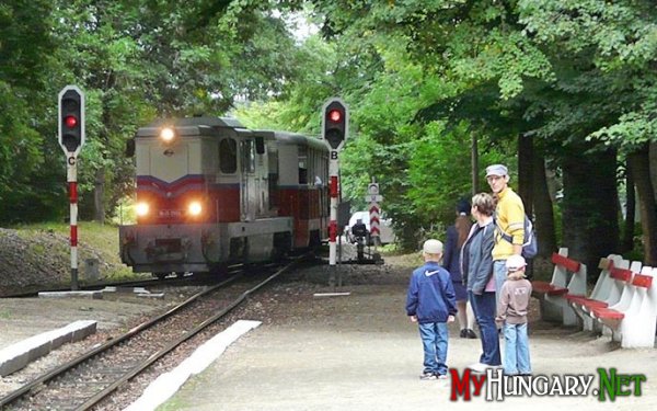 Детская железная дорога в Венгрии самая длинная в мире